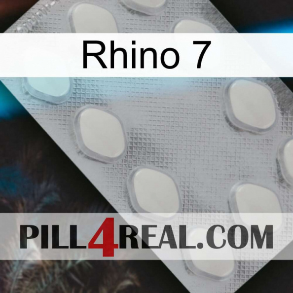 Rhino 7 16.jpg